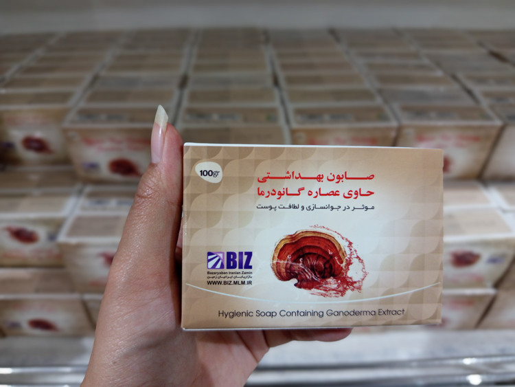 صابون دست و صورت قارچ گانودرما | پاک کننده و طراوت بخش پوست